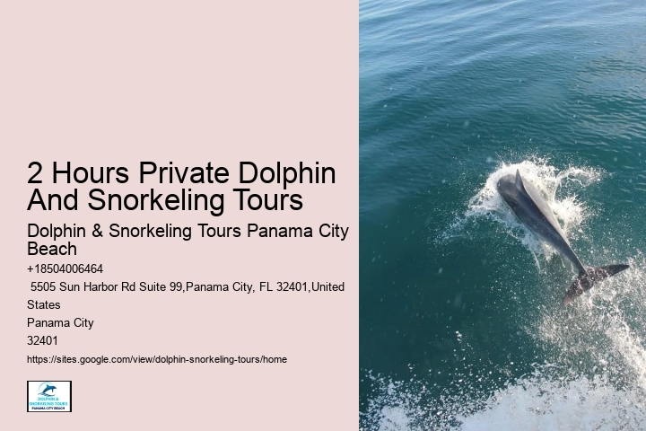 Elite Dolphin Expedition and Snorkeling Tours