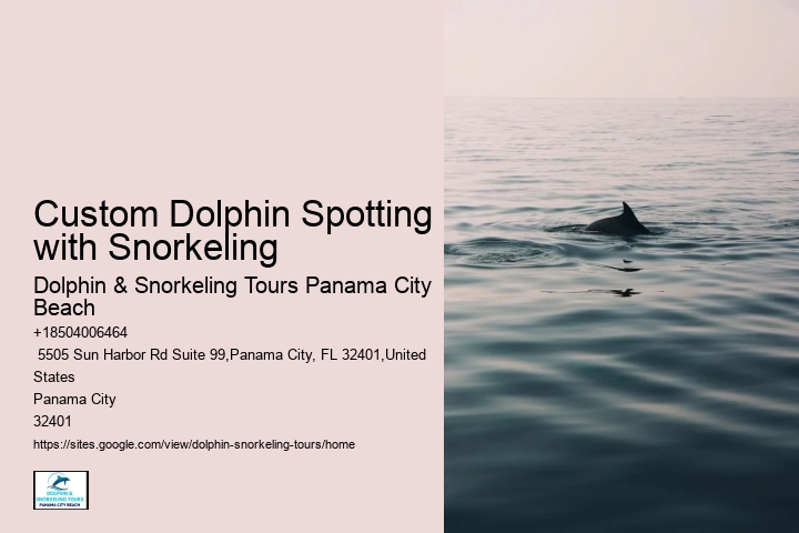 Dolphin Sightseeing Tours