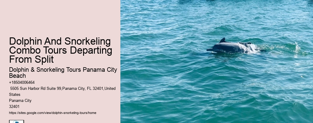 Dolphin And Snorkeling Combo Tours Departing From Split
