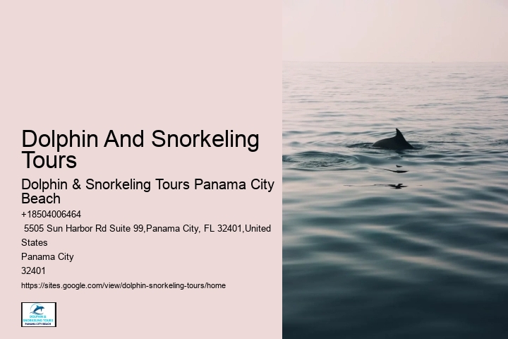 Blue Dolphin Tours Panama City Beach Fl