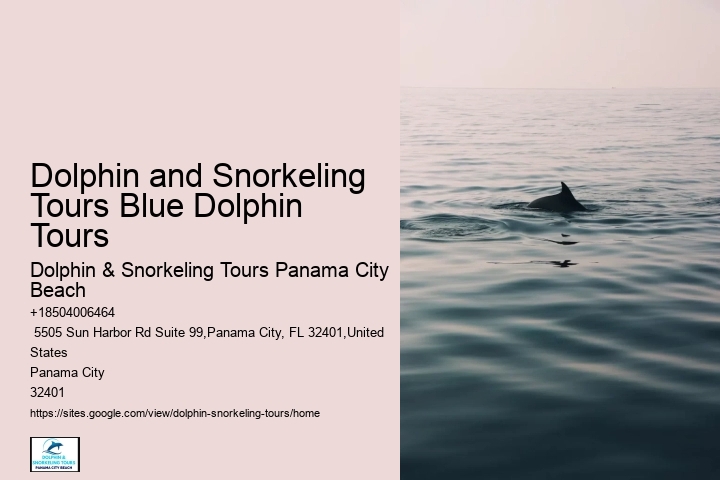 Do You Need A Wetsuit To Swim With Dolphins