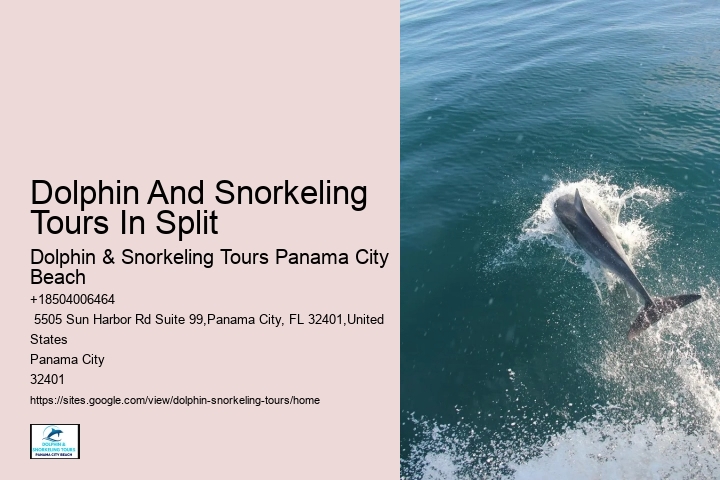 Tailored Dolphin Safari with Snorkeling