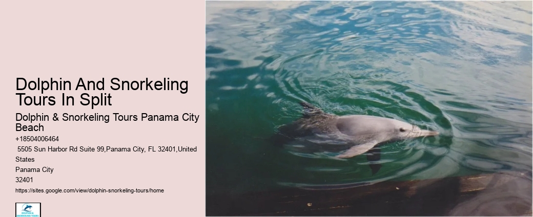 Panama City Beach dolphin boat trips