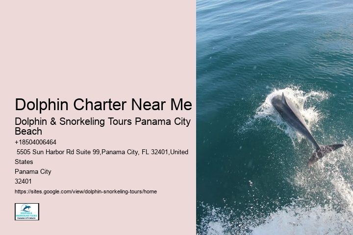 Boat Tours