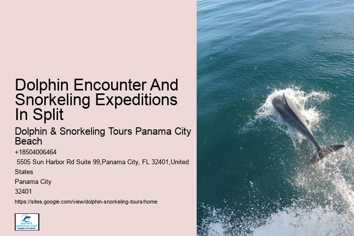 Salty Excursions