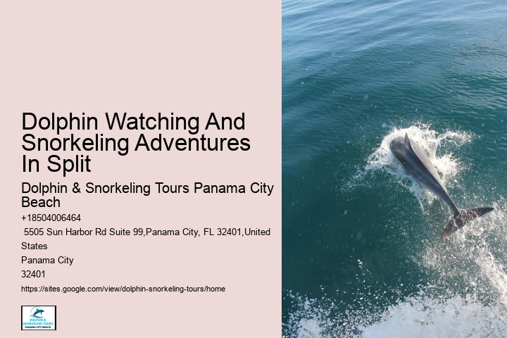 What Does It Mean When Dolphins Come Close To Shore