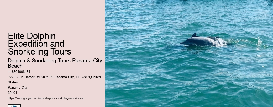 Jet Ski Dolphin Tours Panama City Beach Florida