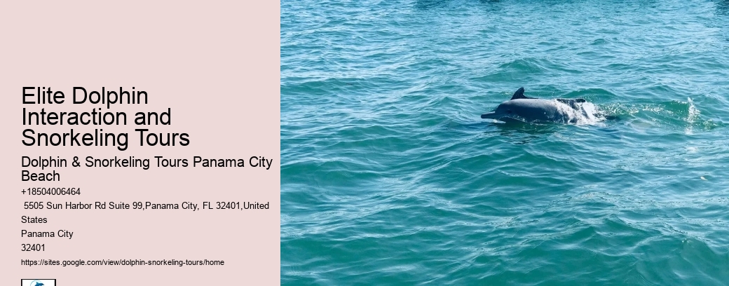 Best Dolphin Tours Near Me