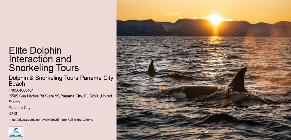 Marine mammal research