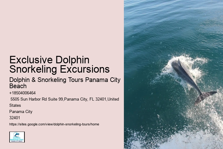 Panama City Beach dolphin viewing tours