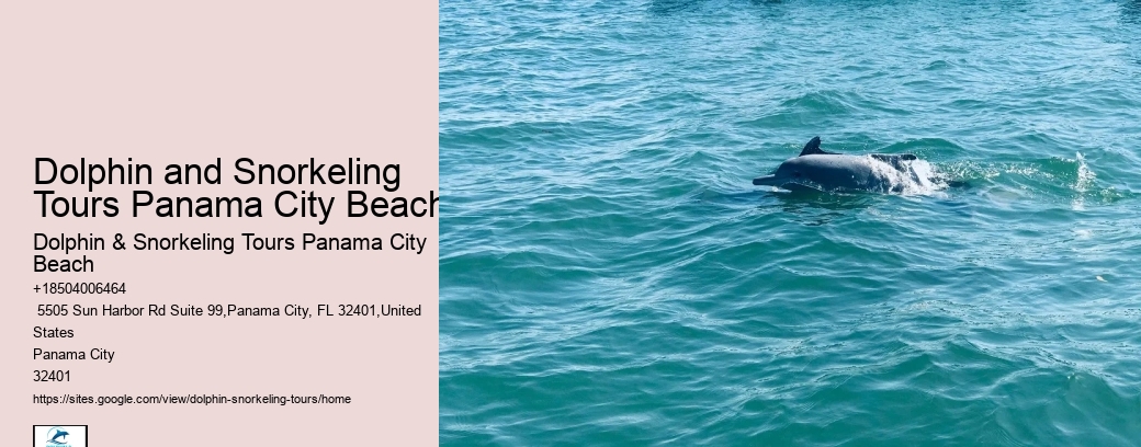 Dolphin and Snorkeling Tours Panama City Beach