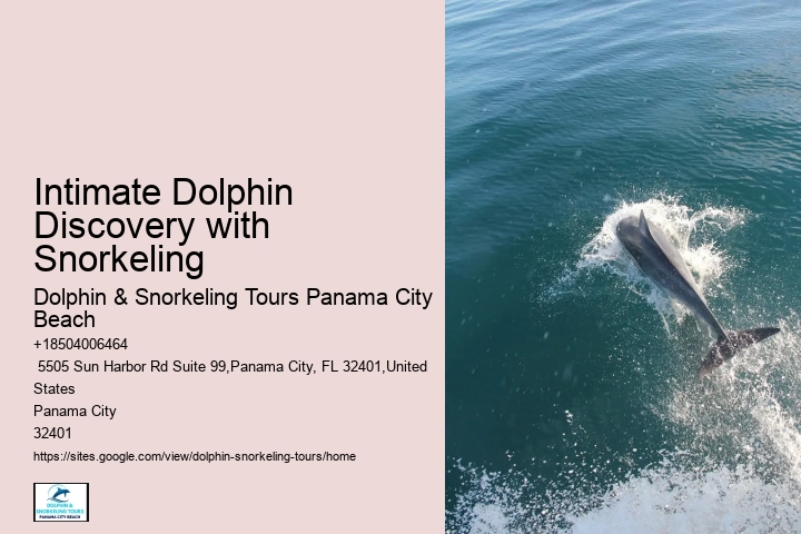 Panama City Beach Dolphin Swim Adventure
