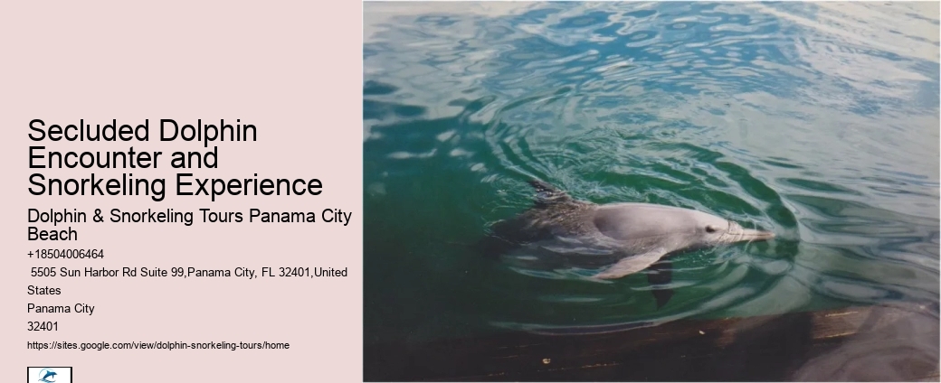 Can I request a specific time for my dolphin tour