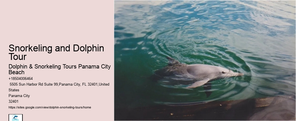 Are there any age restrictions for children on the dolphin tour