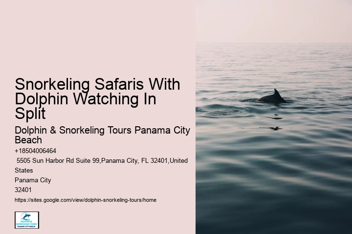 Split Boat Trips For Dolphin Watching And Snorkeling