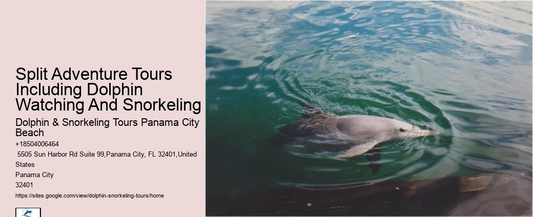 What You Can Do For Strandings