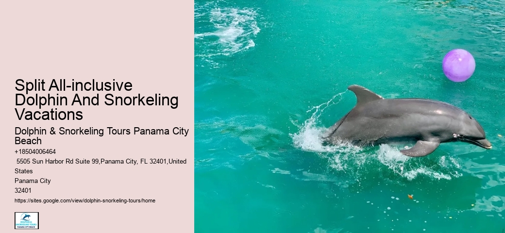 Salty Mary Dolphin And Snorkel Tours Reviews