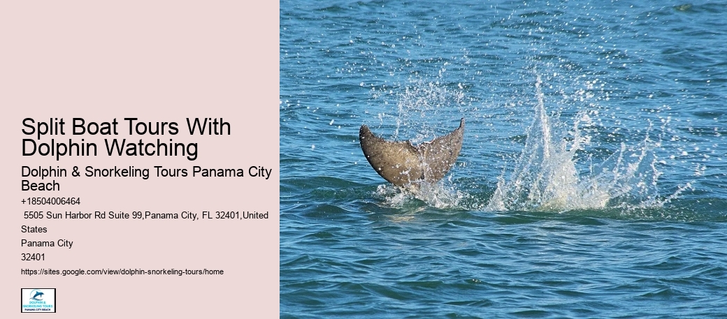 Boat Tours Panama City Beach
