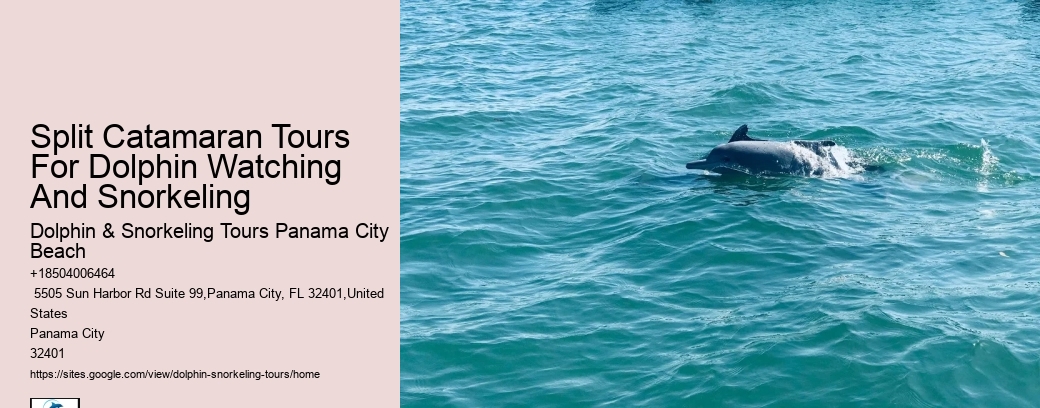 Split Catamaran Tours For Dolphin Watching And Snorkeling