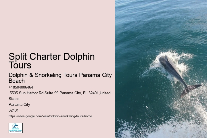 Why Is Panama City Beach So Popular
