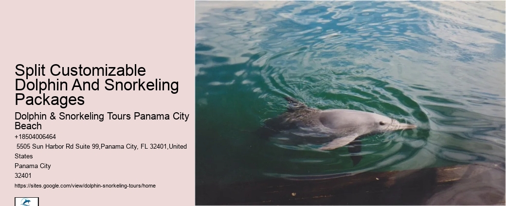 Why Do Dolphins Swim Close To Shore
