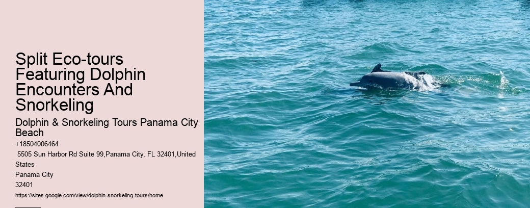 Split Eco-tours Featuring Dolphin Encounters And Snorkeling