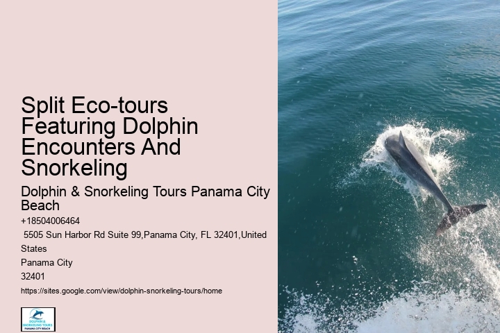 Feeding Or Harassing Marine Mammals In The Wild