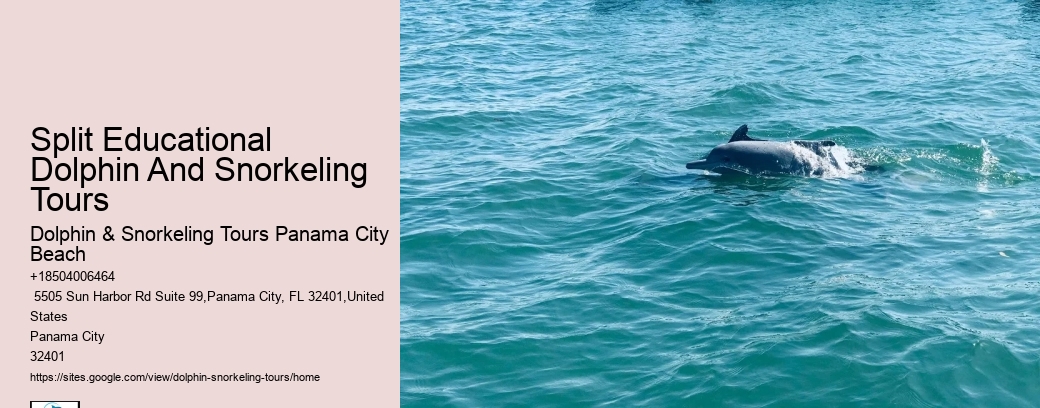 Split Educational Dolphin And Snorkeling Tours