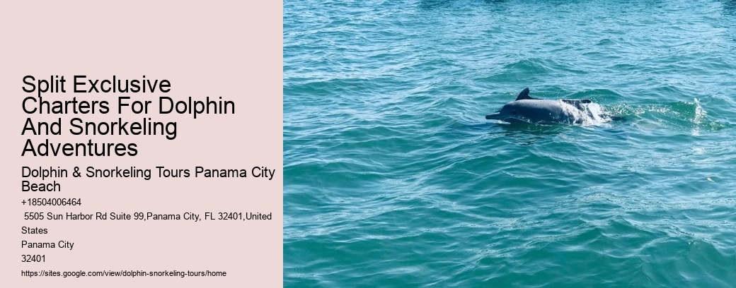 Split Exclusive Charters For Dolphin And Snorkeling Adventures