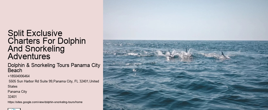 Dolphin spotting tours in Panama City Beach