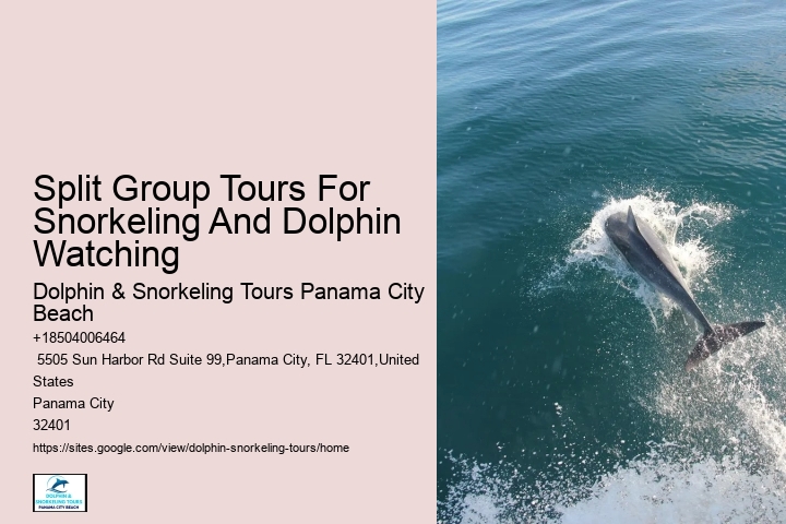 Split Family-friendly Dolphin And Snorkeling Tours