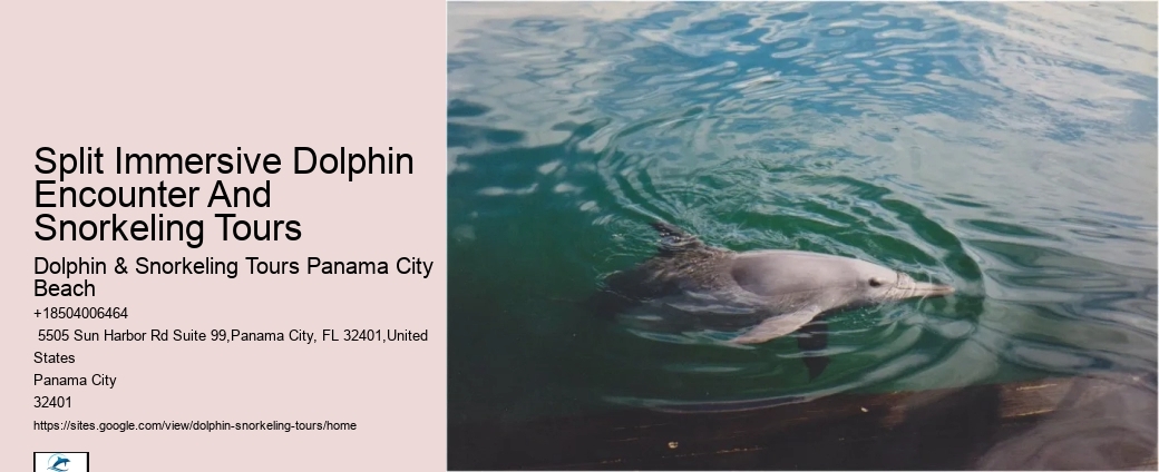 Are Dolphin Shows Ethical