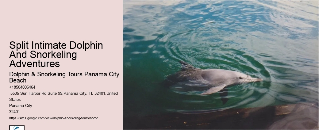 All-inclusive Experiences - Swim With Dolphins