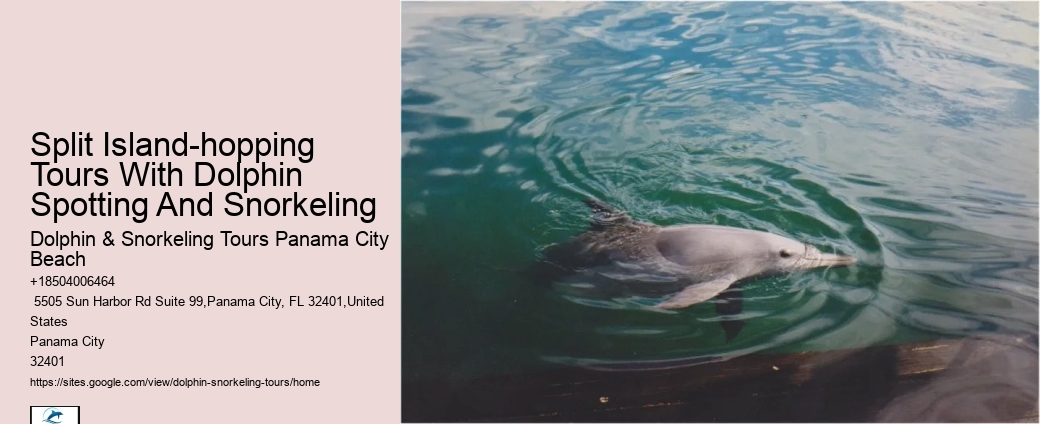 Customized Dolphin Exploration and Snorkeling Adventures