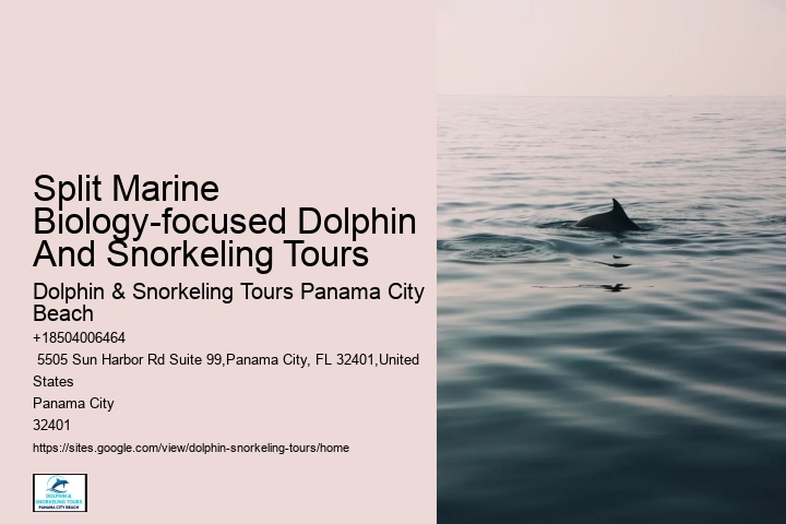 Can I bring my dog on a dolphin tour in Panama City Beach