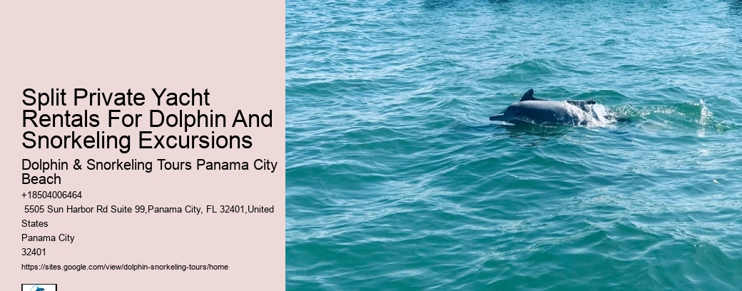 Split Private Yacht Rentals For Dolphin And Snorkeling Excursions