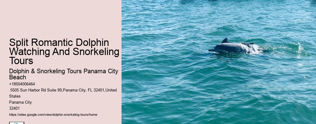 Snorkeling And Dolphin Cruise From Split