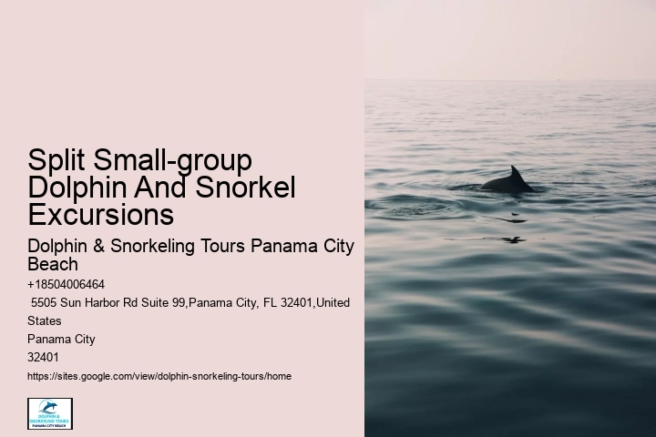 Palm Beach Dolphin Tours