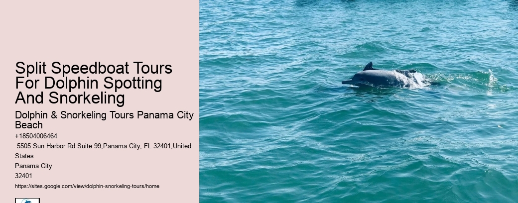 Split Speedboat Tours For Dolphin Spotting And Snorkeling
