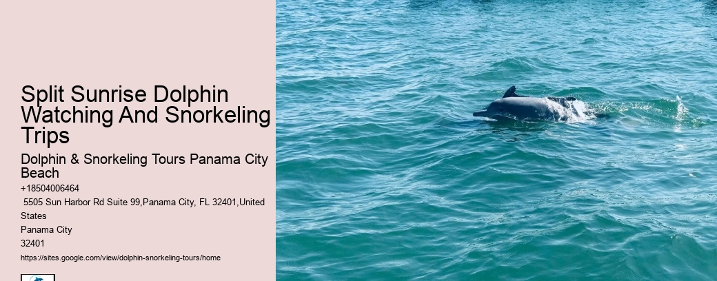 Split Sunrise Dolphin Watching And Snorkeling Trips