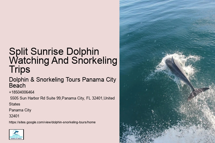 Port Aransas Dolphin Tours