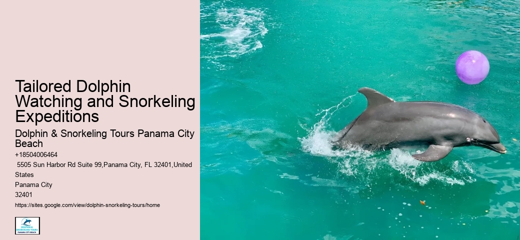 Best Place To See Dolphins In Florida
