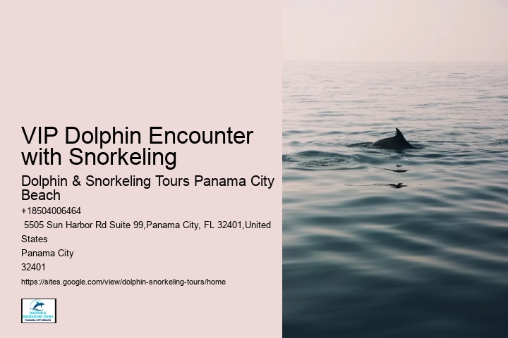 What Not To Do With Dolphins