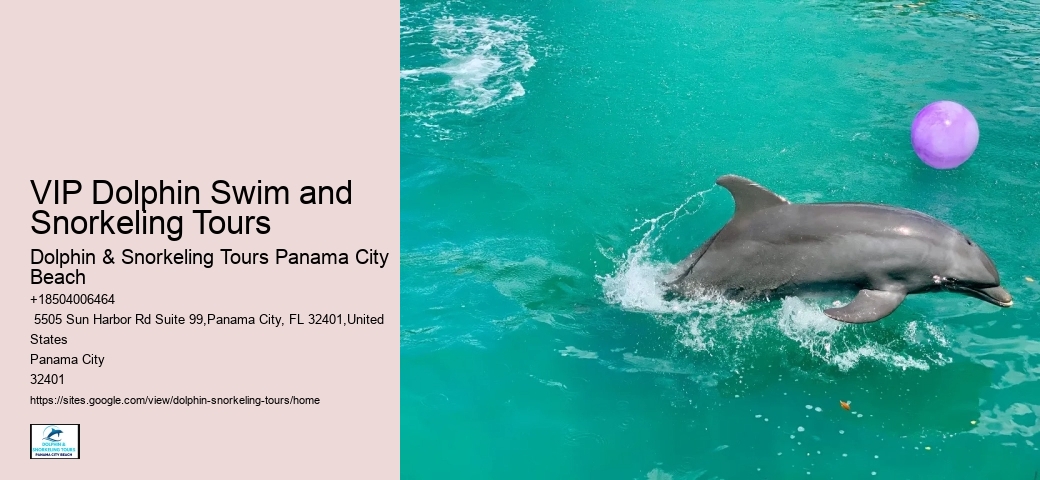 Dolphin Fact Sheet