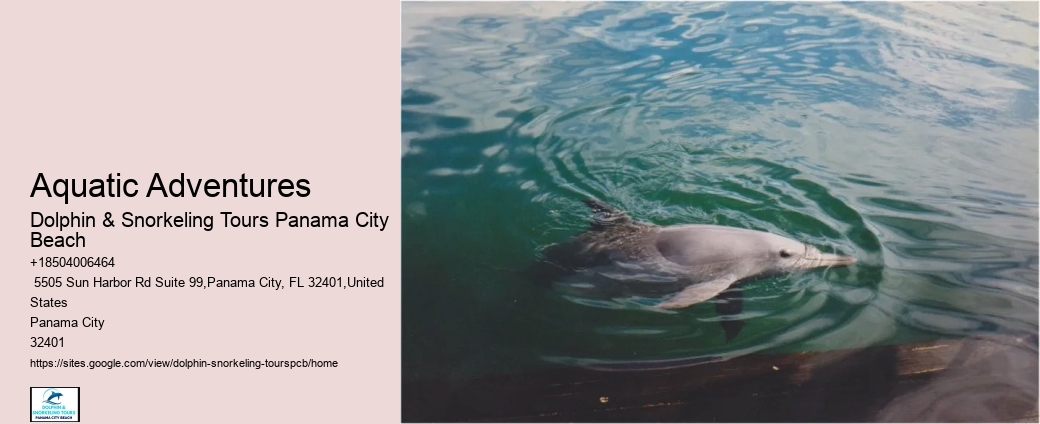 Panama City Beach Snorkeling Tours