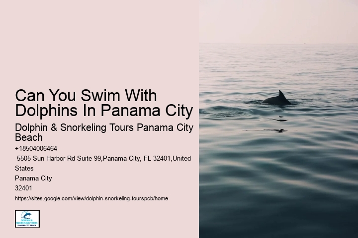 What Time Of Year Are Dolphins At Panama City Beach