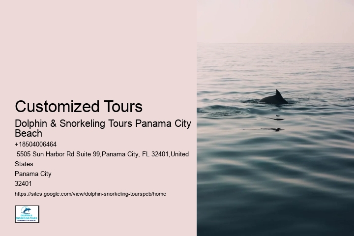 Is It Safe To Be In The Water With Dolphins