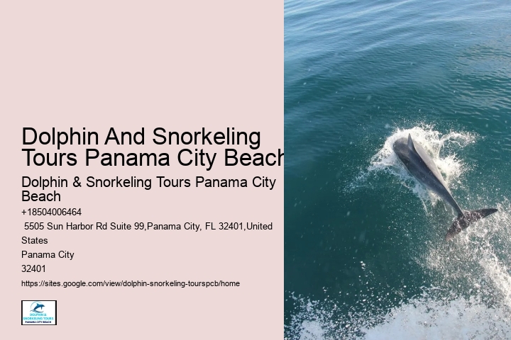 Marine Life Encounters