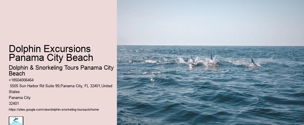 Panama City Beach Snorkeling Tours