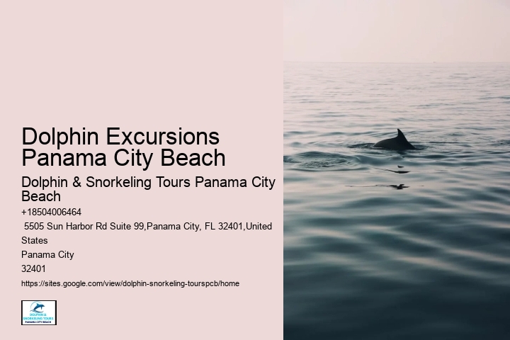 Do Dolphins Swim Humans To Shore